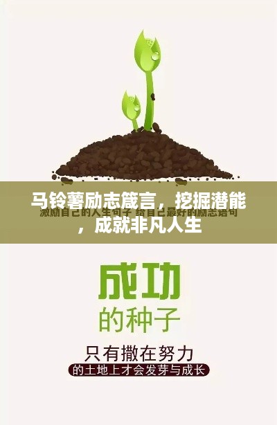 马铃薯励志箴言,挖掘潜能,成就非凡人生