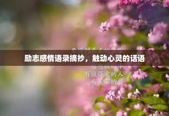 盖世英雄 第2页