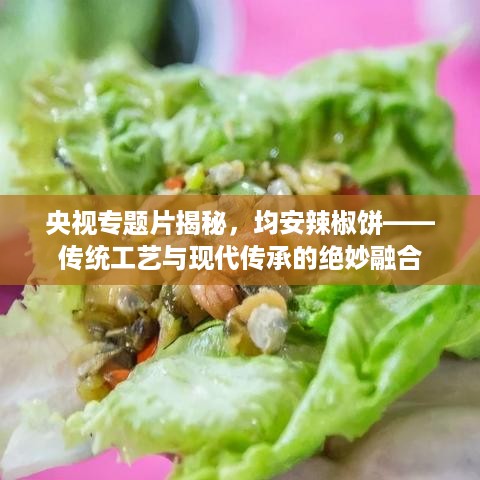 央视专题片揭秘，均安辣椒饼——传统工艺与现代传承的绝妙融合