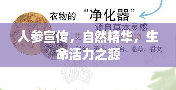 人参宣传，自然精华，生命活力之源